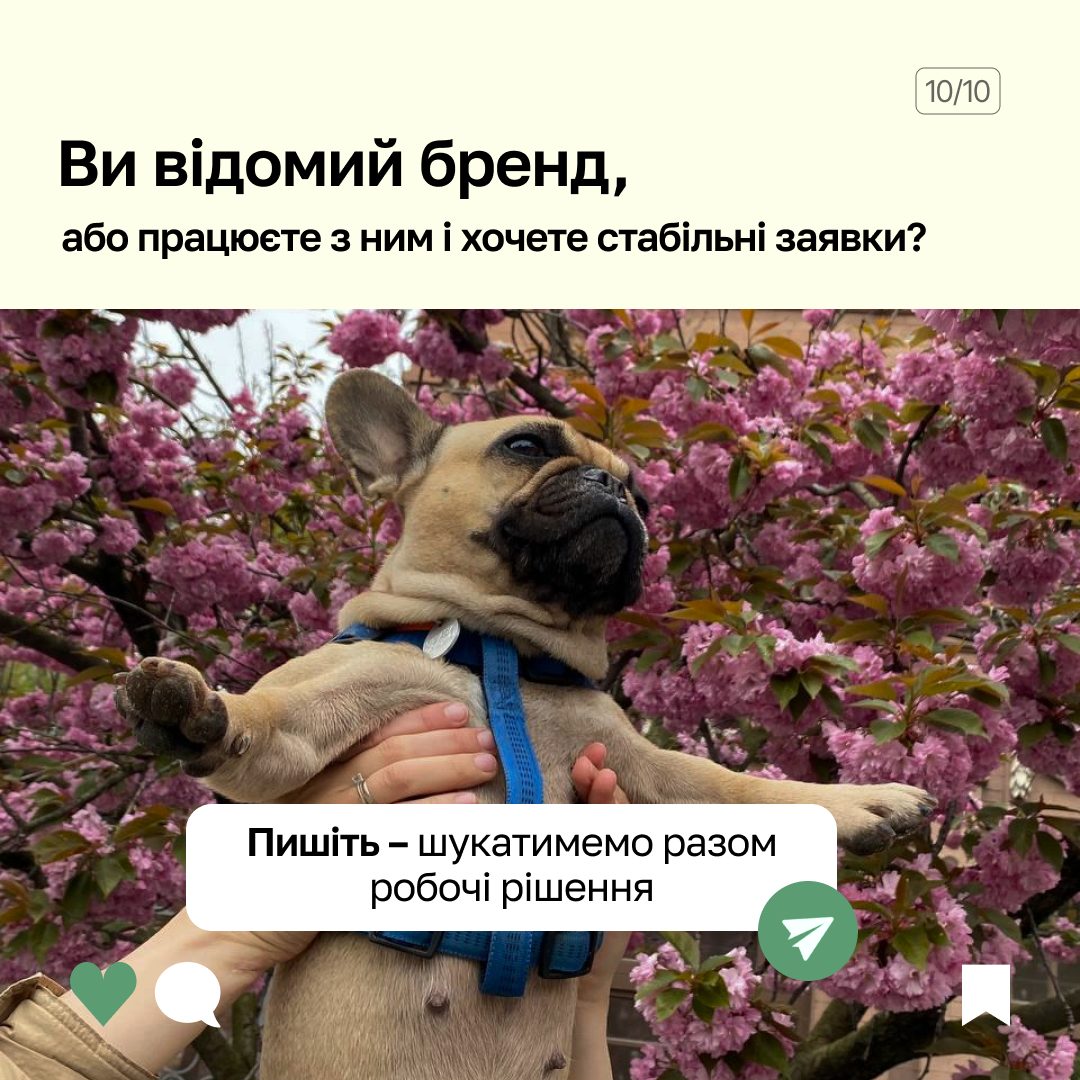 Як просувати корм для собак і котів: кейс таргету від PERSHE для бренду Farmina Ukraine